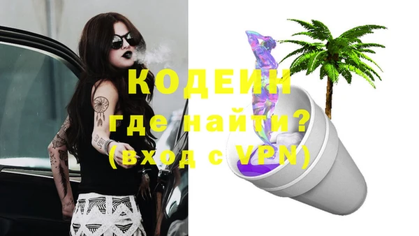 мдпв Пестово