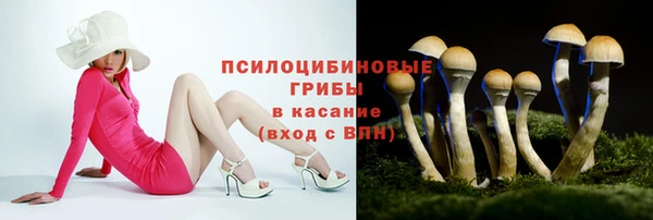 сатива Абаза