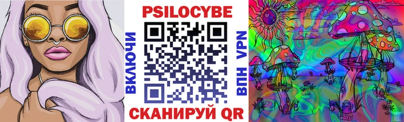 OMG ТОР  купить  цена  Красноперекопск  Псилоцибиновые грибы мицелий 